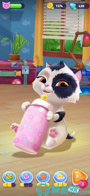 My Cat电子猫咪j9九游会网址是什么(图1)